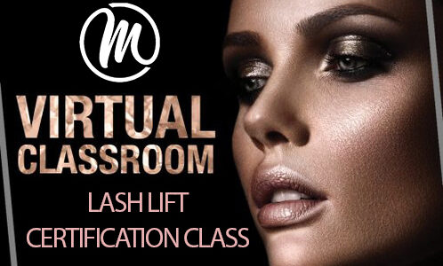 Online Lash Lift Class